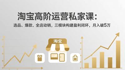 淘宝高阶运营私家课（更新26年4月）：选品、爆款、全店动销，三模块构建盈利闭环，月入破5万