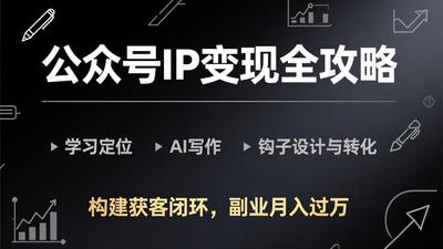 公众号IP变现全攻略-更新，学习定位、AI写作、钩子设计与转化，构建获客闭环，副业月入过万