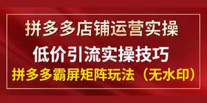 拼多多店铺运营实操，低价引流实操技巧，拼多多霸屏矩阵玩法