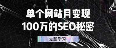 单个网站月变现100万的SEO秘密：如何百分百做出赚钱站点