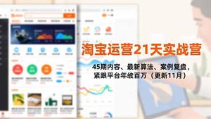 白凤电商淘宝运营21天实战营，45期内容、最新算法、案例复盘，紧跟平台年入百万（更新11月）
