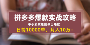 拼多多爆款实战攻略：中小卖家也能做出爆款，日销10000单 月入10w+