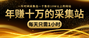 年赚十万的采集站，每天1小时，一年采集出一个售价10W的网站